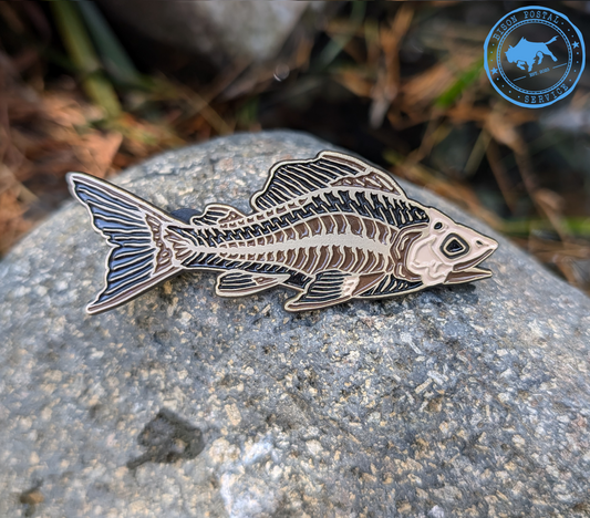 Fossil Fish Enamel Pin
