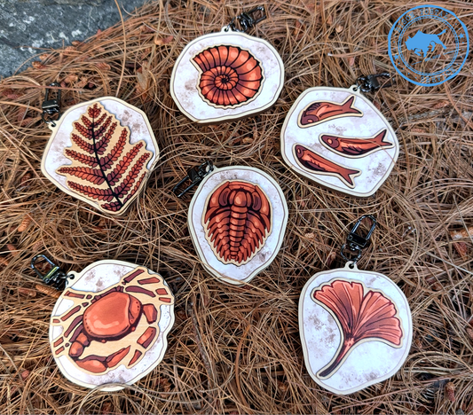 Mystery Fossil Charms