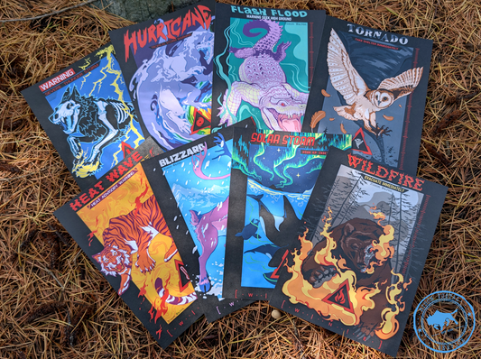 Storm Chaser Post Card Set